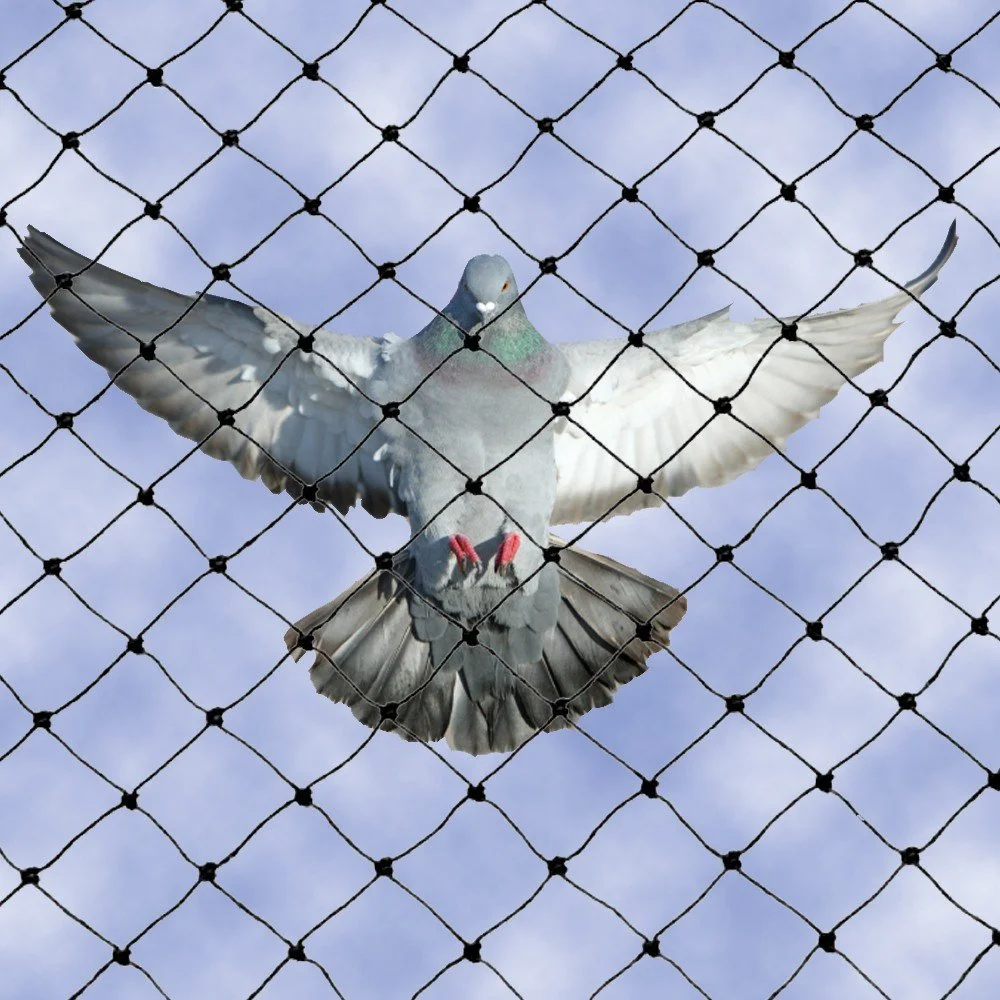Durable Pigeon Net installation on a residential balcony in Nagpur providing safe and effective bird protection for homes and apartments