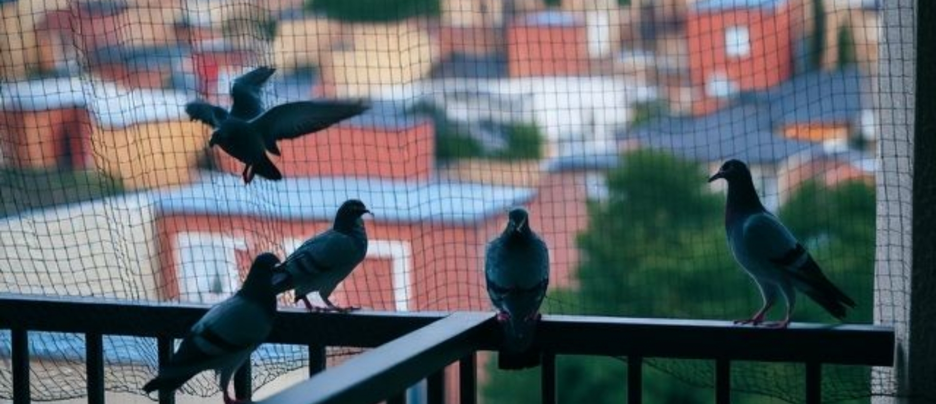 Mosquito Net Installation Service Nagpur